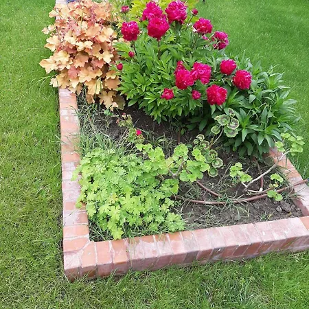 A Charming And Peaceful Summer 400m From The Sea Tatil Evi Varna