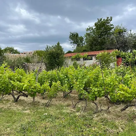 A Charming And Peaceful Summer 400m From The Sea *