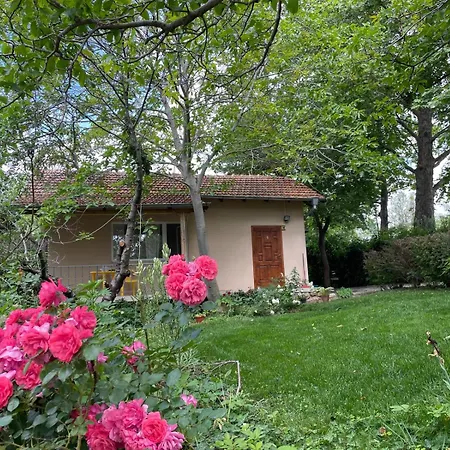 Ferienhaus Peaceful Summer House With Garden Near The Kabakum ,