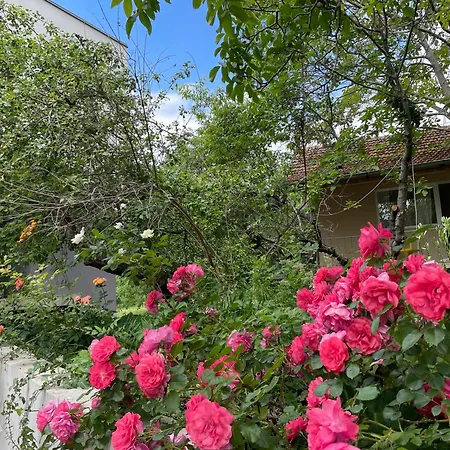 Case de vacanță Peaceful Summer House With Garden Near The Kabakum ,