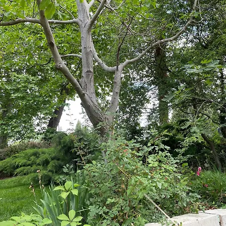 Peaceful Summer House With Garden Near The Kabakum , Case de vacanță *