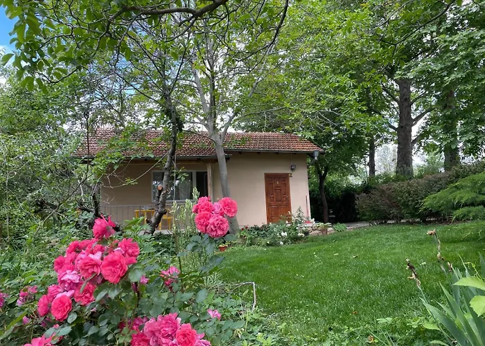 Dom wakacyjny A Charming And Peaceful Summer 400m From The Sea